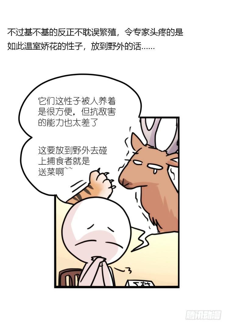使命篇07：漫漫归乡路15