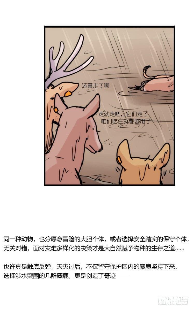 使命篇07：漫漫归乡路36