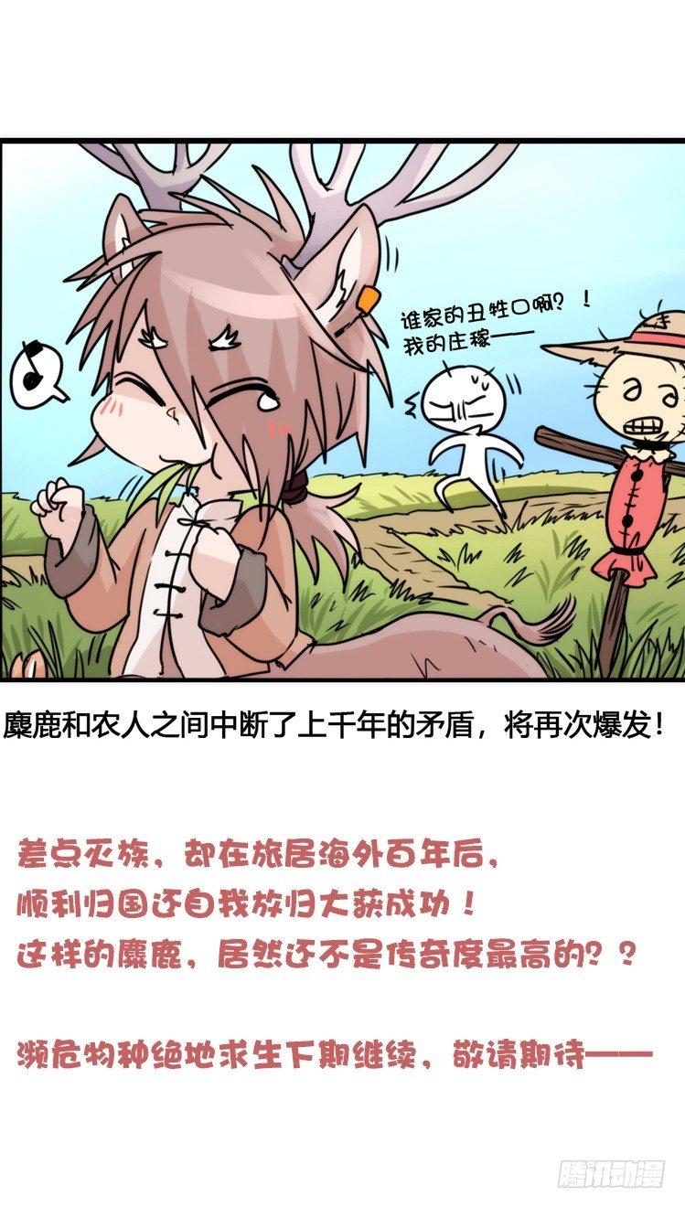 使命篇07：漫漫归乡路39