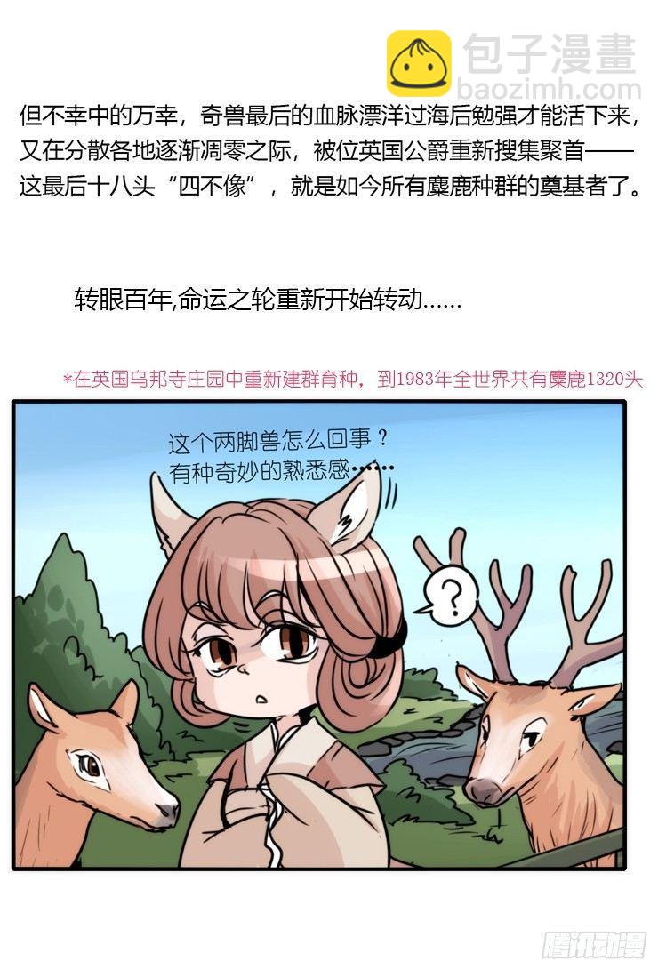 使命篇07：漫漫归乡路5