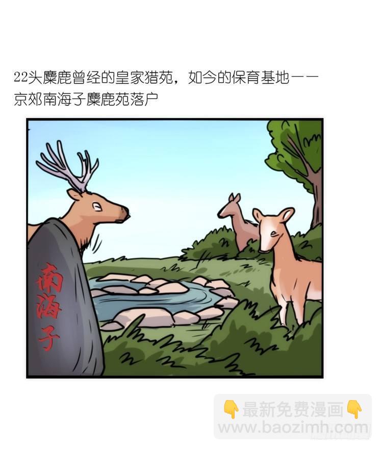 使命篇07：漫漫归乡路8