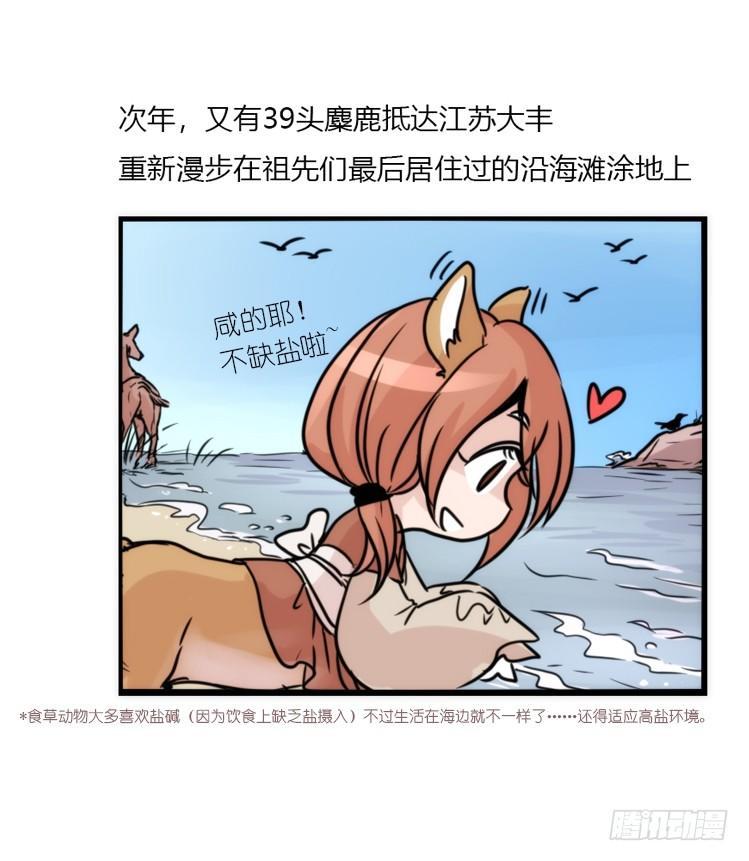 使命篇07：漫漫归乡路9