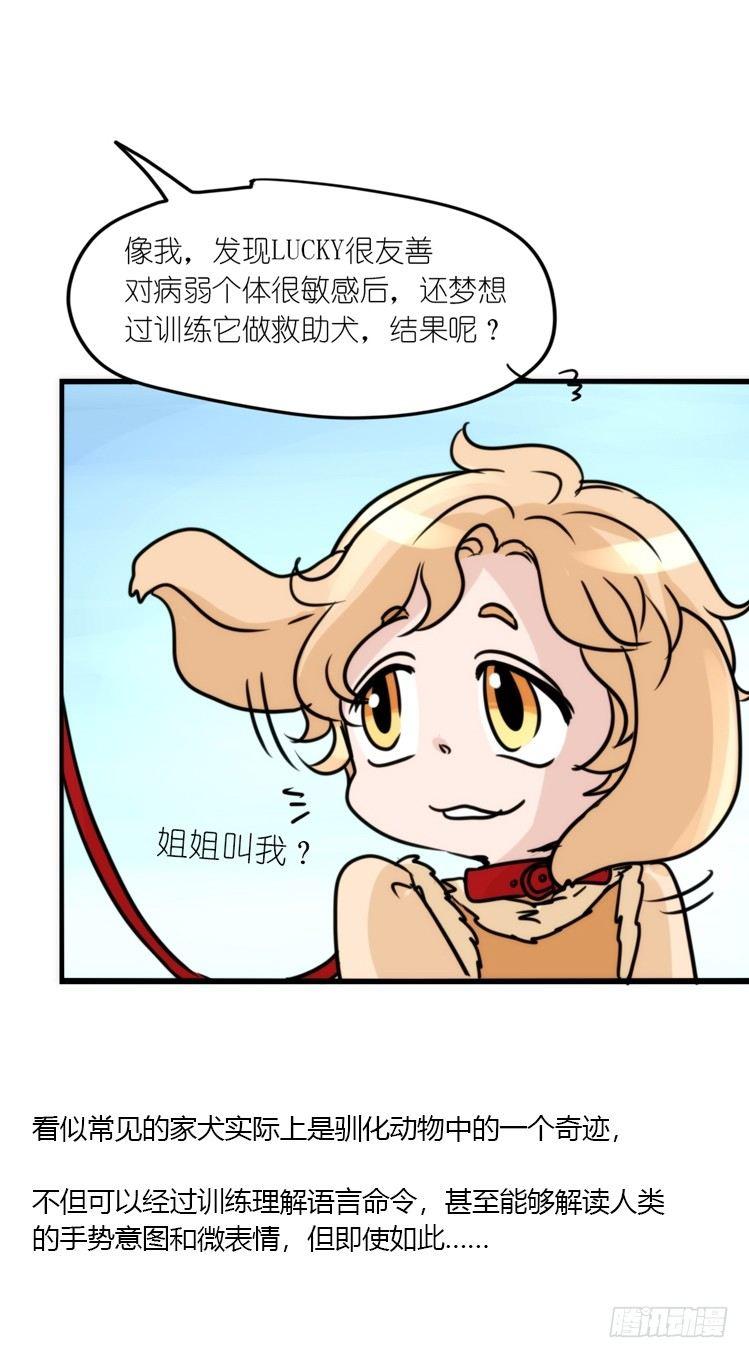 使命篇16：萌物们的新工作？12