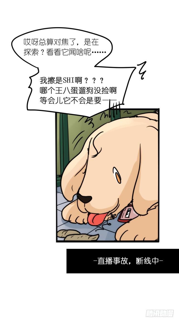 使命篇16：萌物们的新工作？23