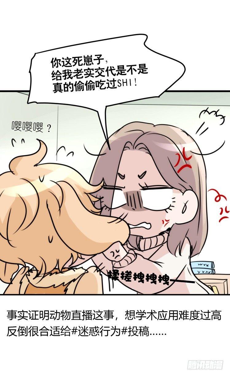 使命篇16：萌物们的新工作？24