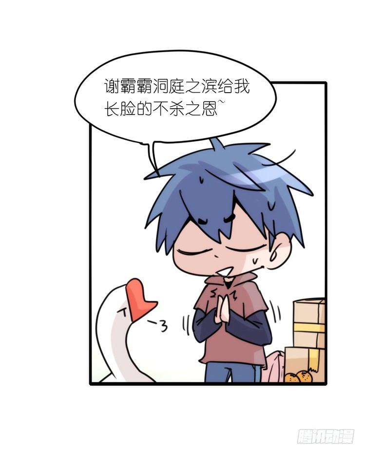 使命篇16：萌物们的新工作？25