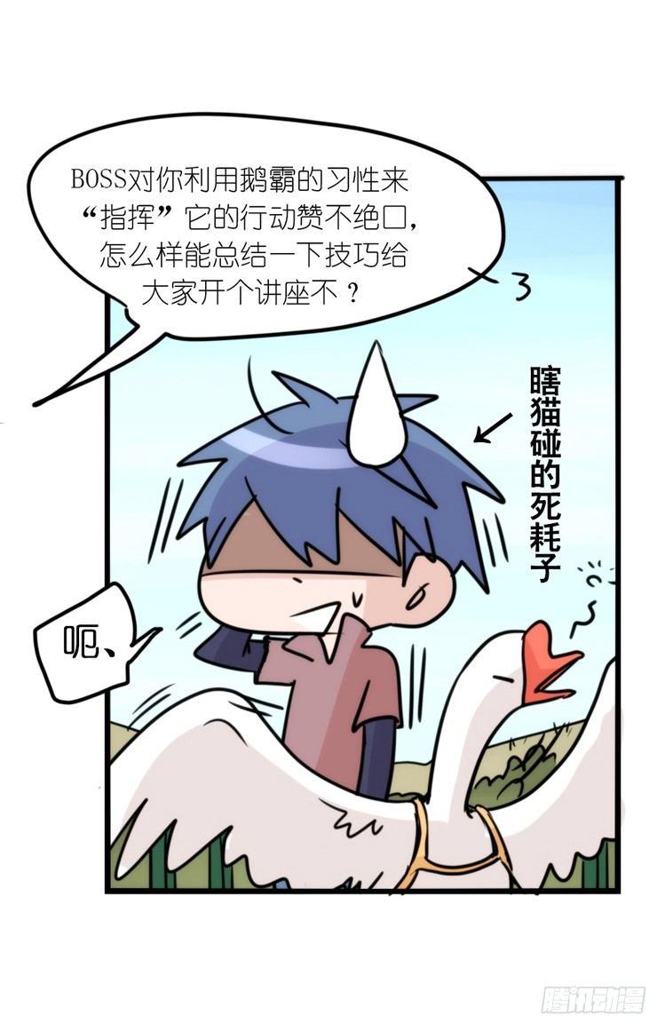 使命篇16：萌物们的新工作？3