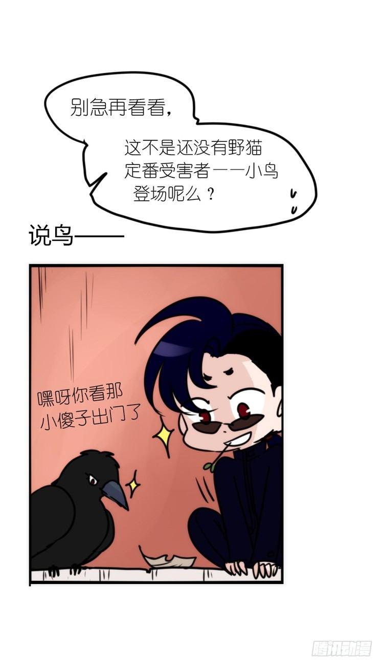 使命篇16：萌物们的新工作？31