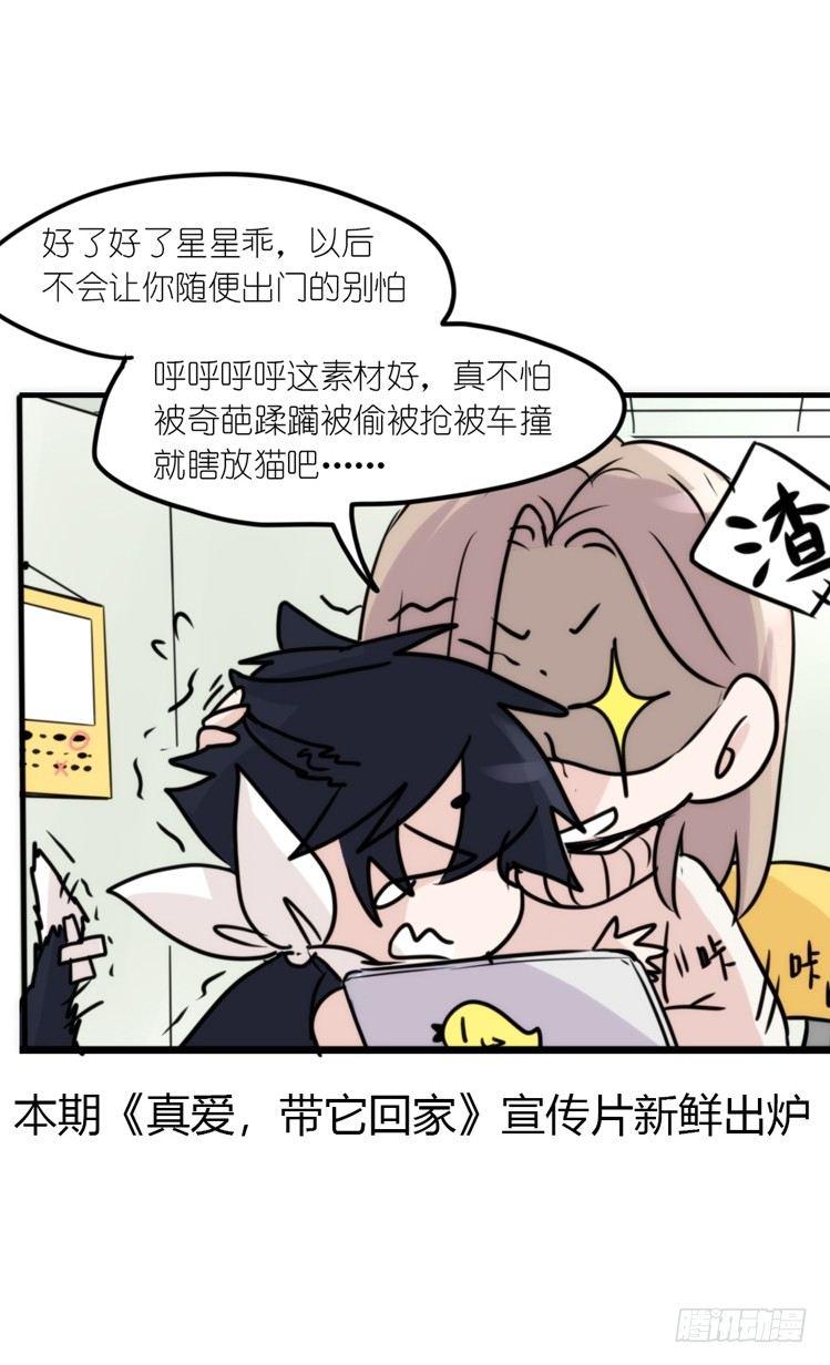使命篇16：萌物们的新工作？34