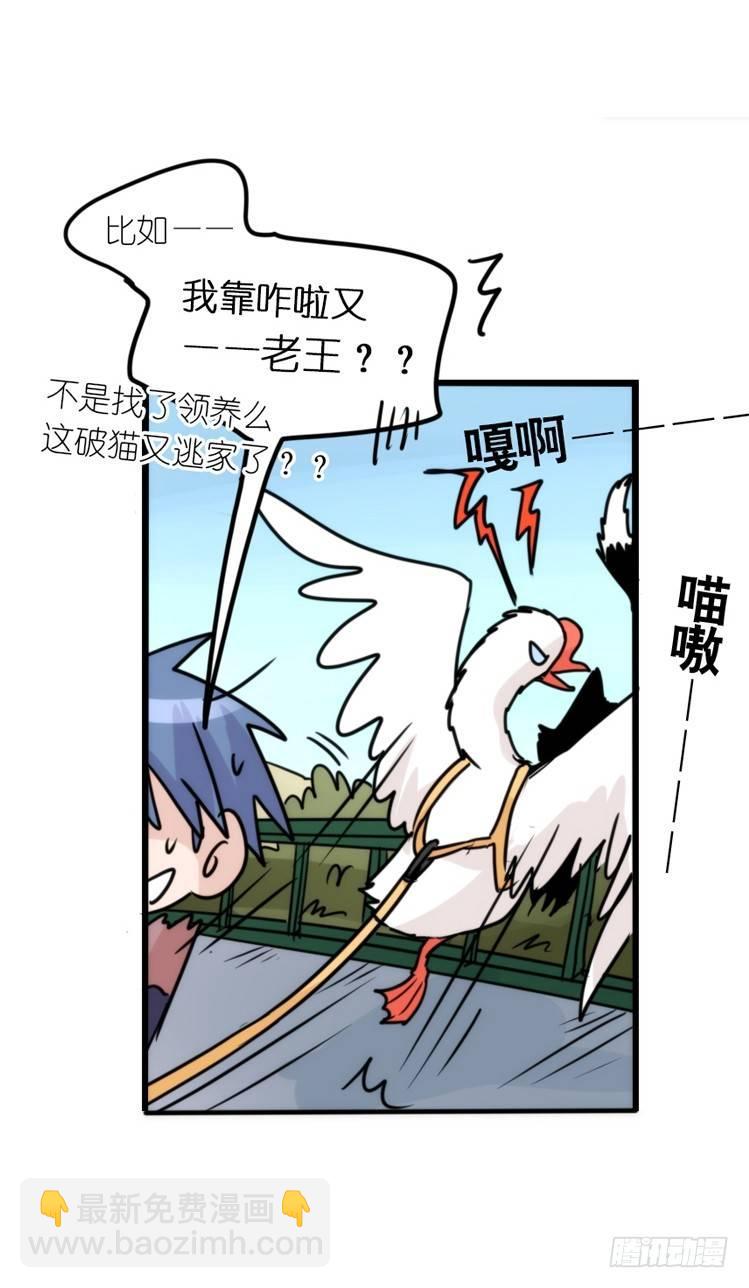 使命篇16：萌物们的新工作？7