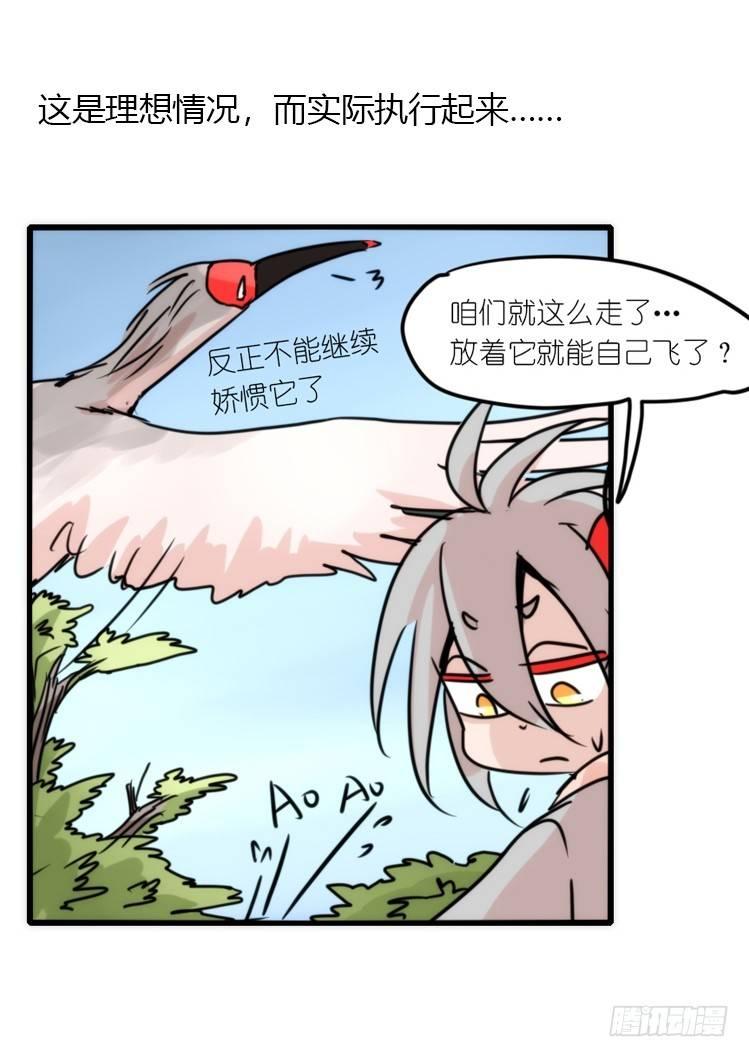 使命篇20：重振绯羽②19