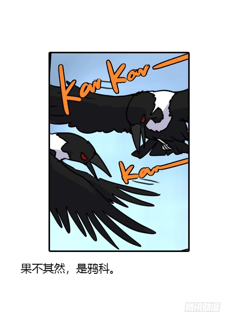 使命篇20：重振绯羽②2