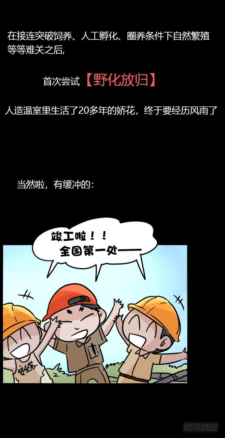 使命篇20：重振绯羽②31