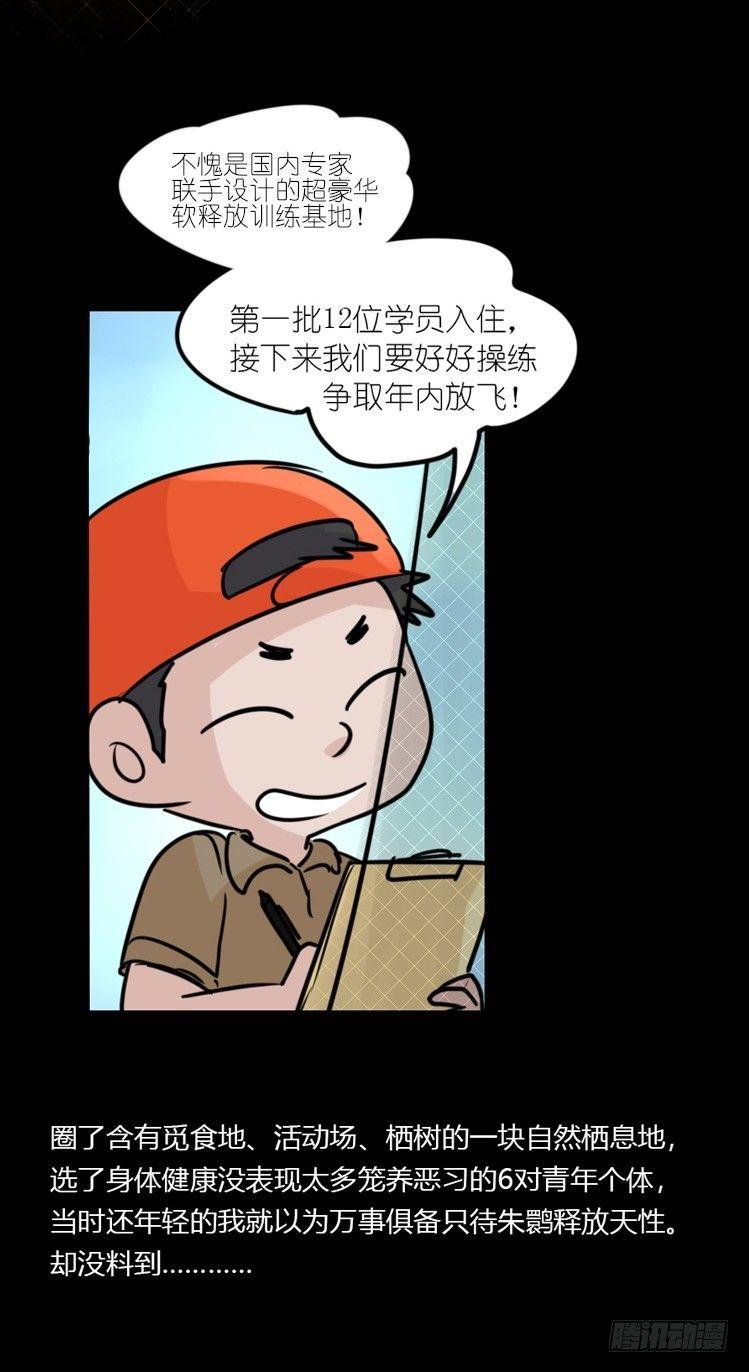 使命篇20：重振绯羽②33