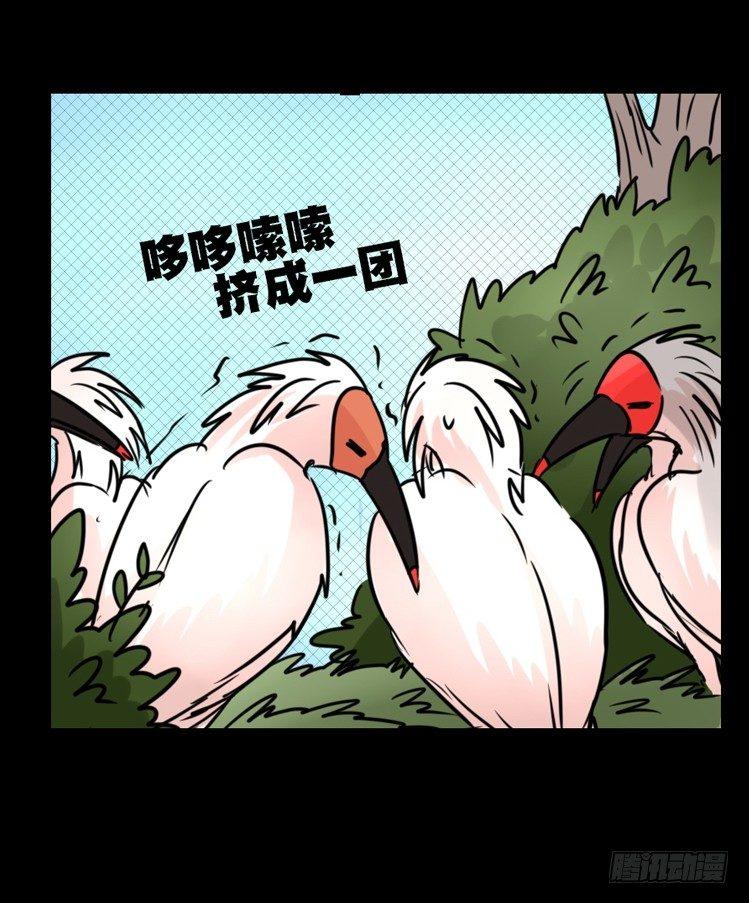 使命篇20：重振绯羽②34