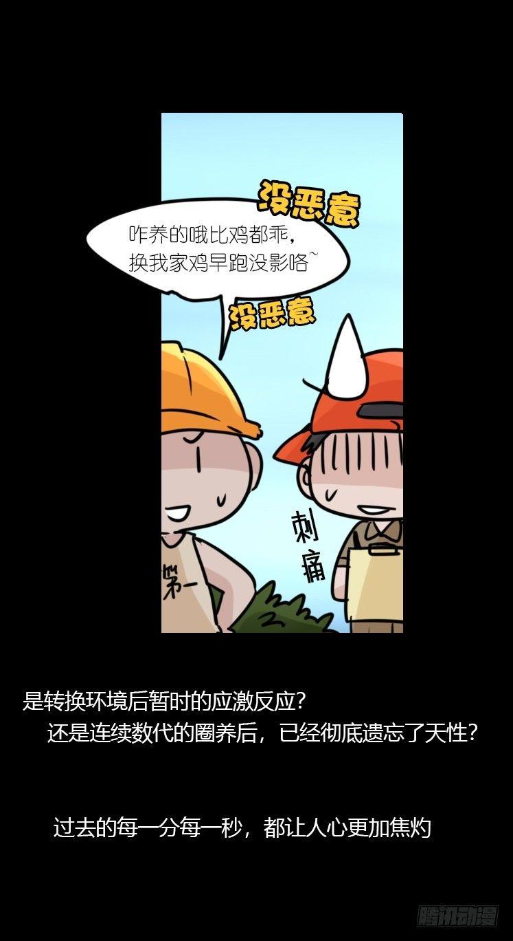 使命篇20：重振绯羽②35