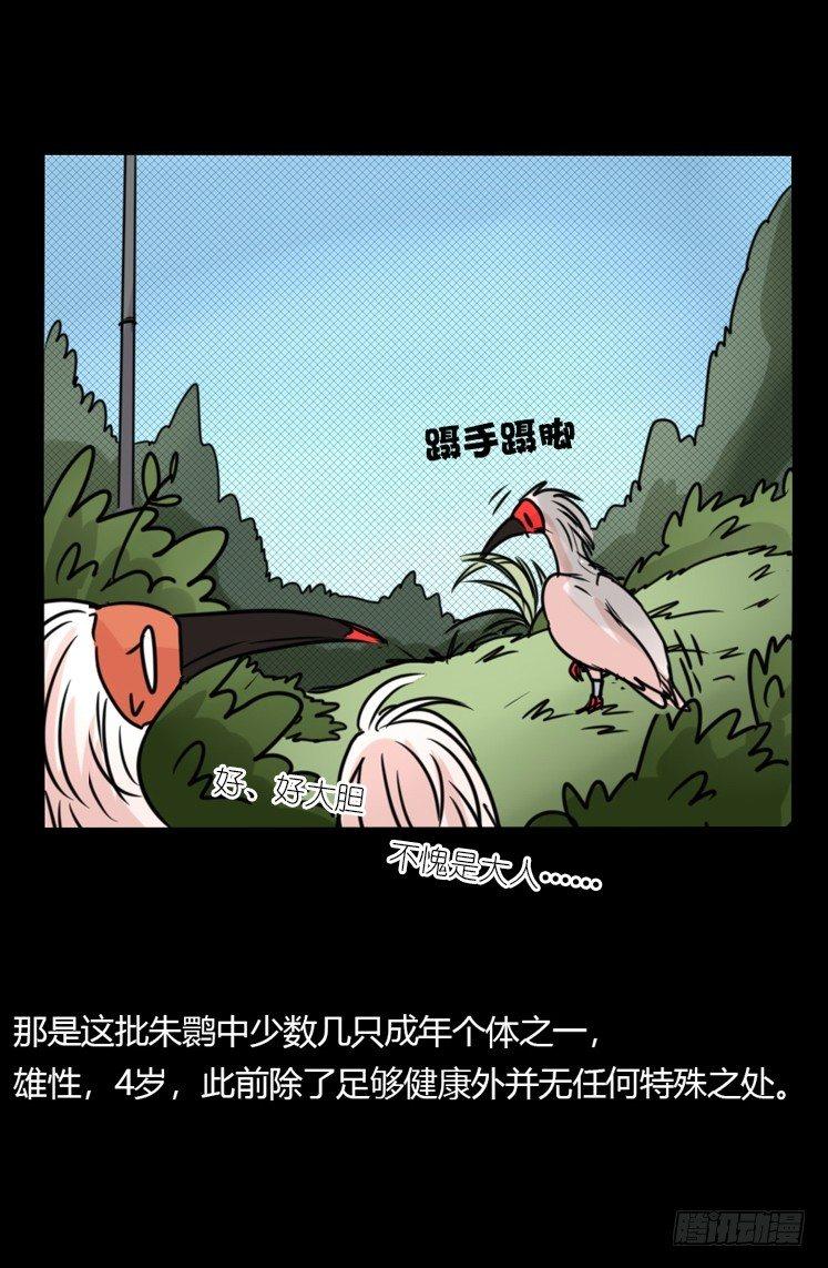 使命篇20：重振绯羽②37
