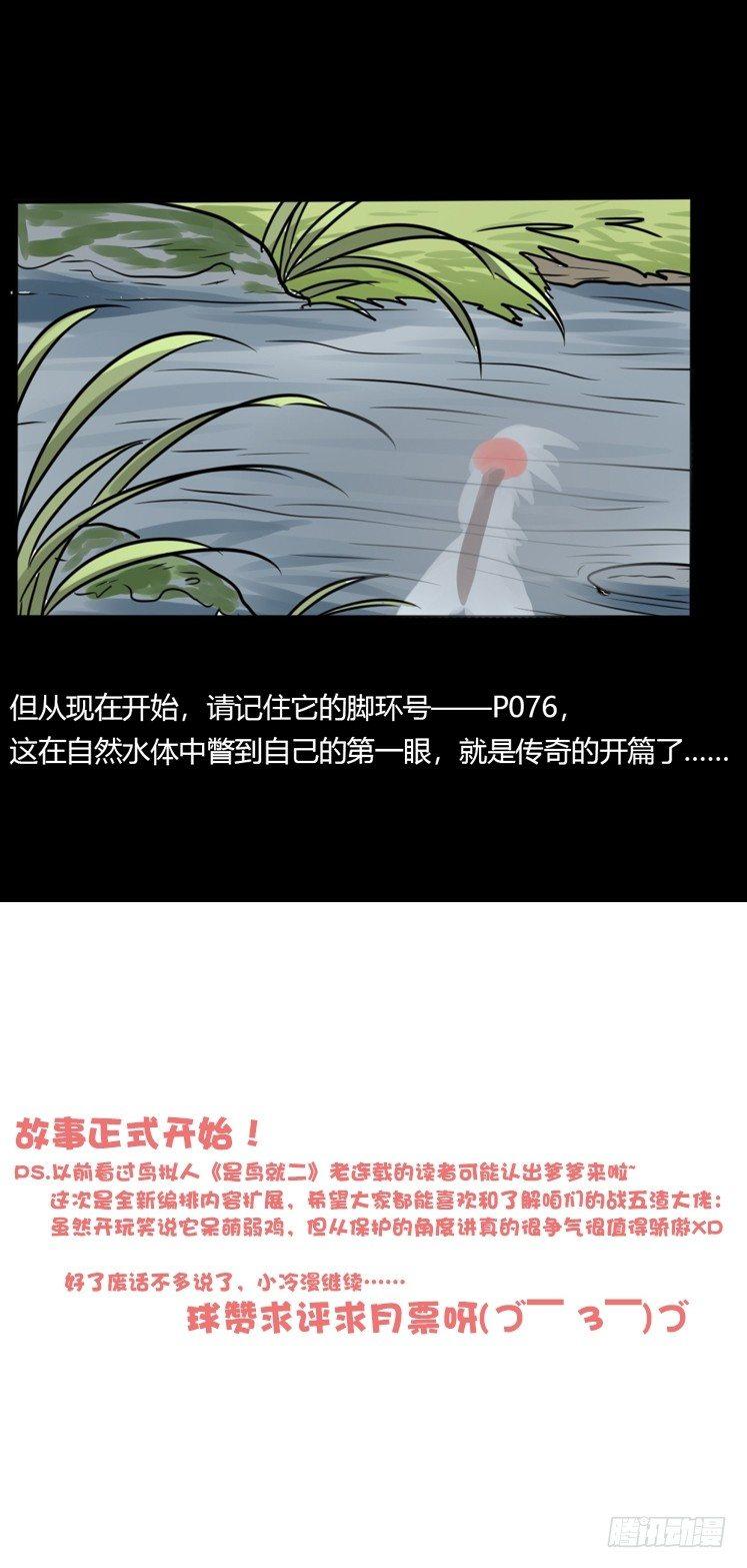 使命篇20：重振绯羽②39