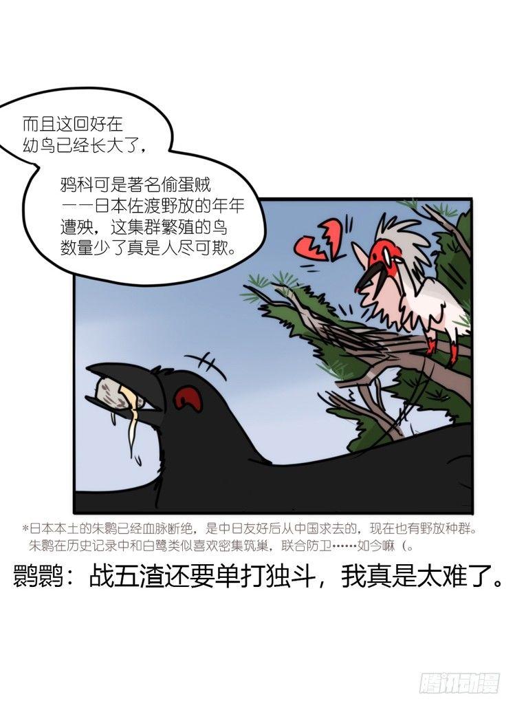 使命篇20：重振绯羽②9