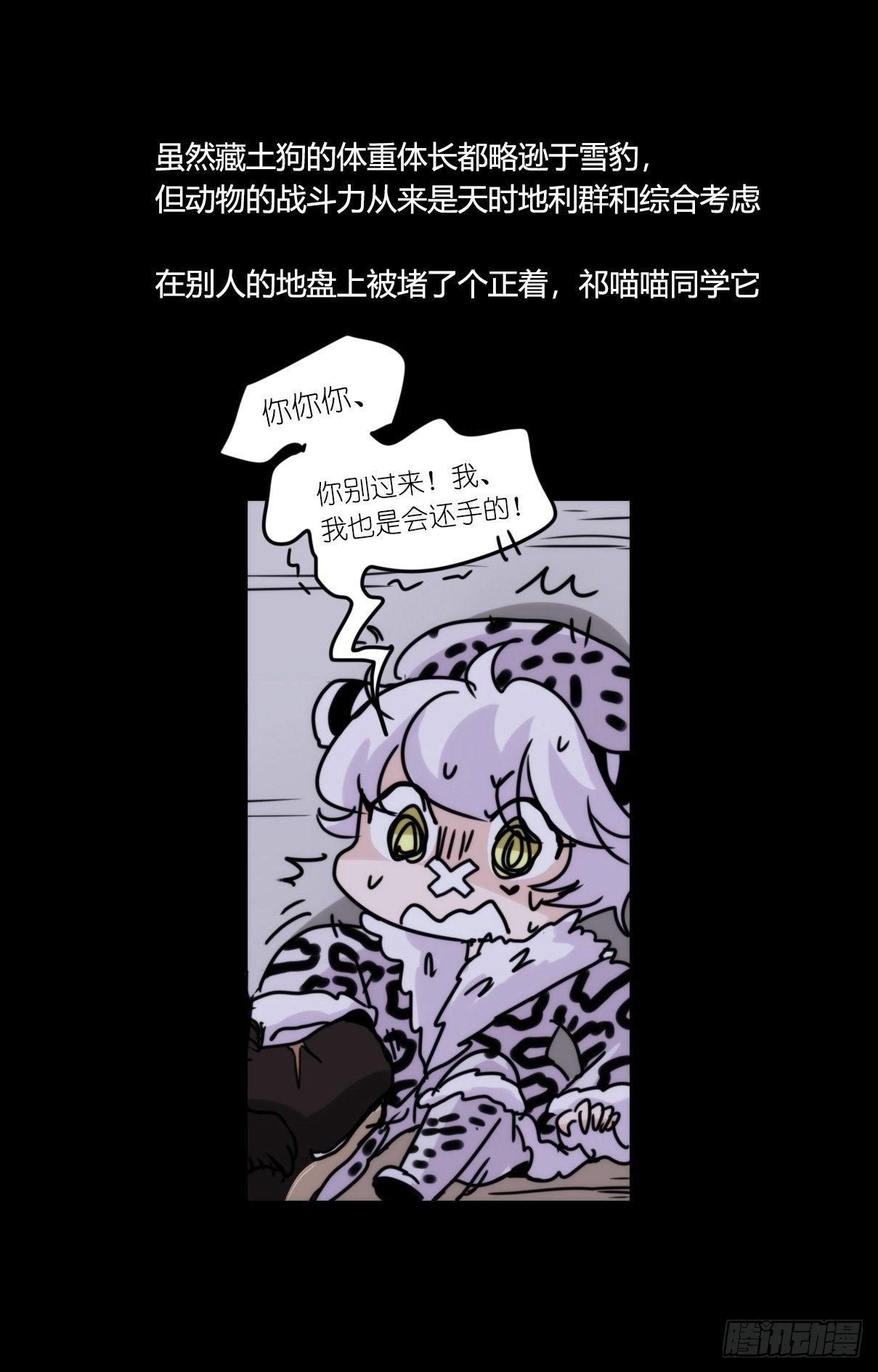事业篇09：雪豹成为偶像！-327