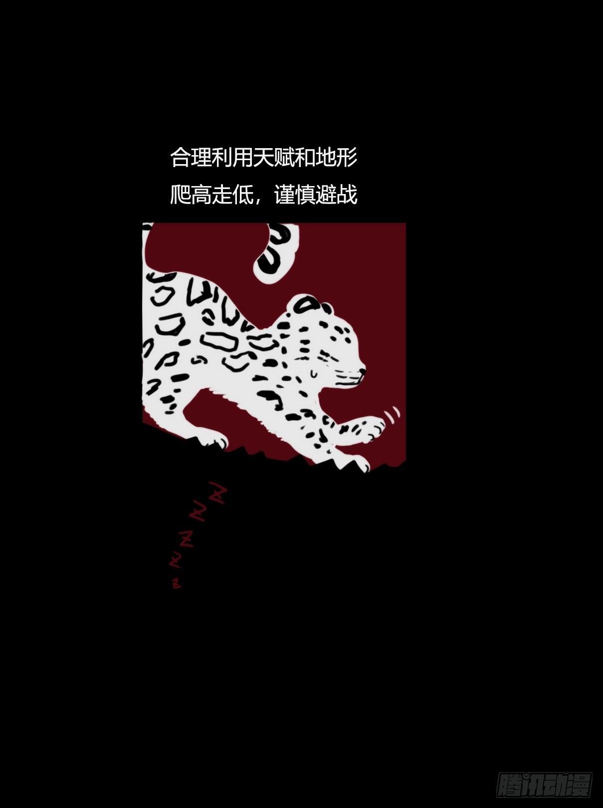 事业篇09：雪豹成为偶像！-34