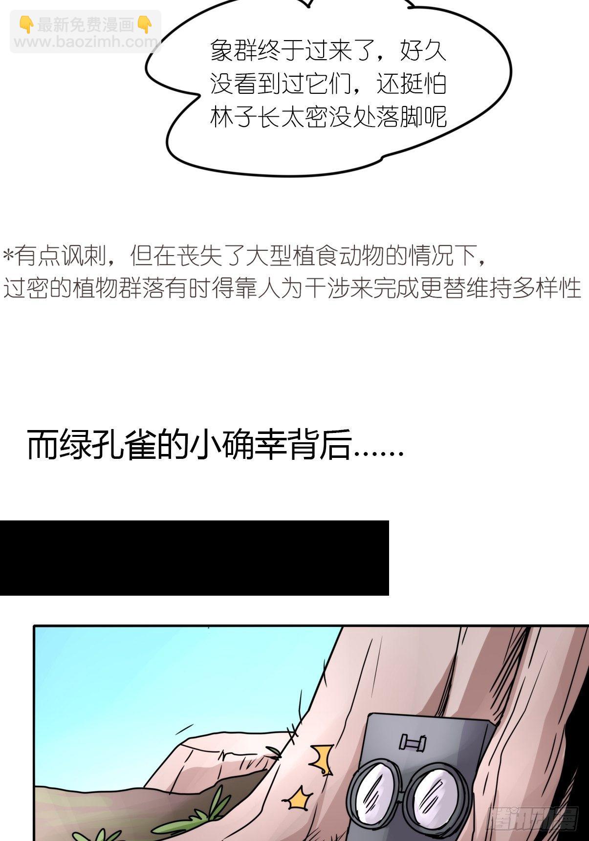事业篇II：致绿孔雀0523