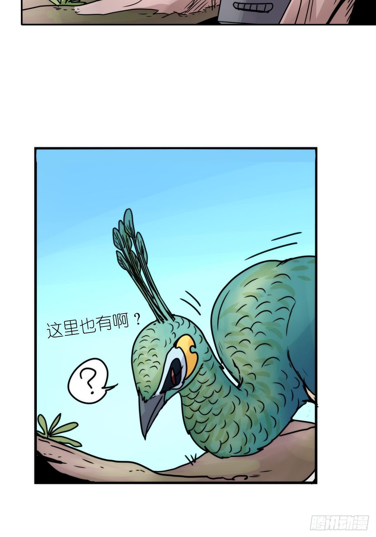 事业篇II：致绿孔雀0524