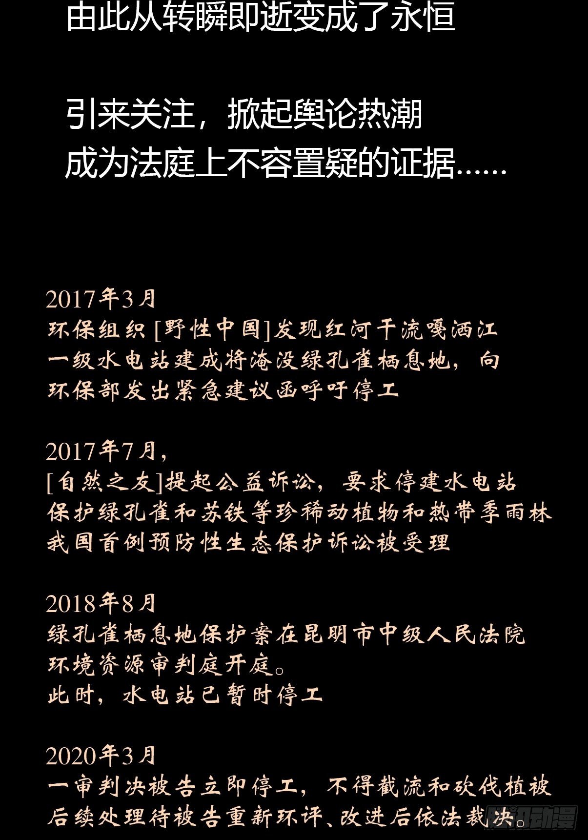 事业篇II：致绿孔雀0526