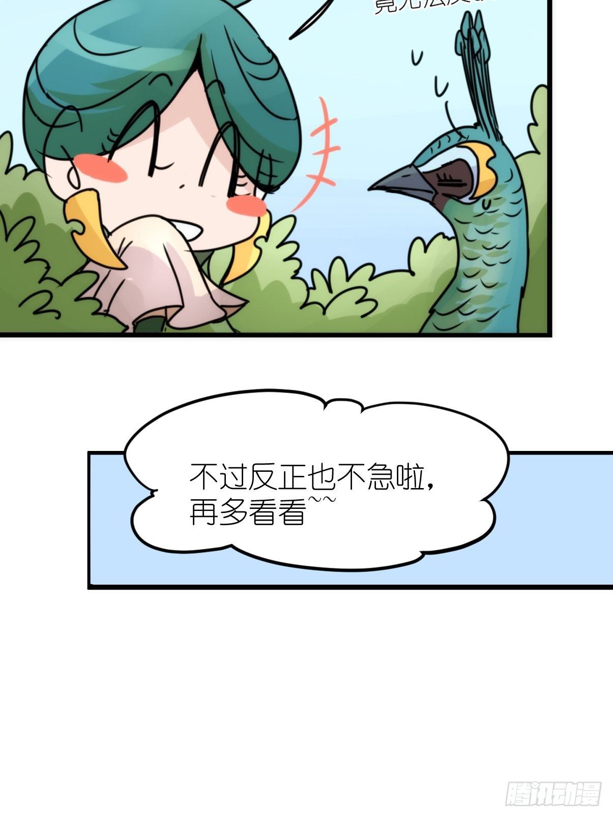 事业篇II：致绿孔雀0531