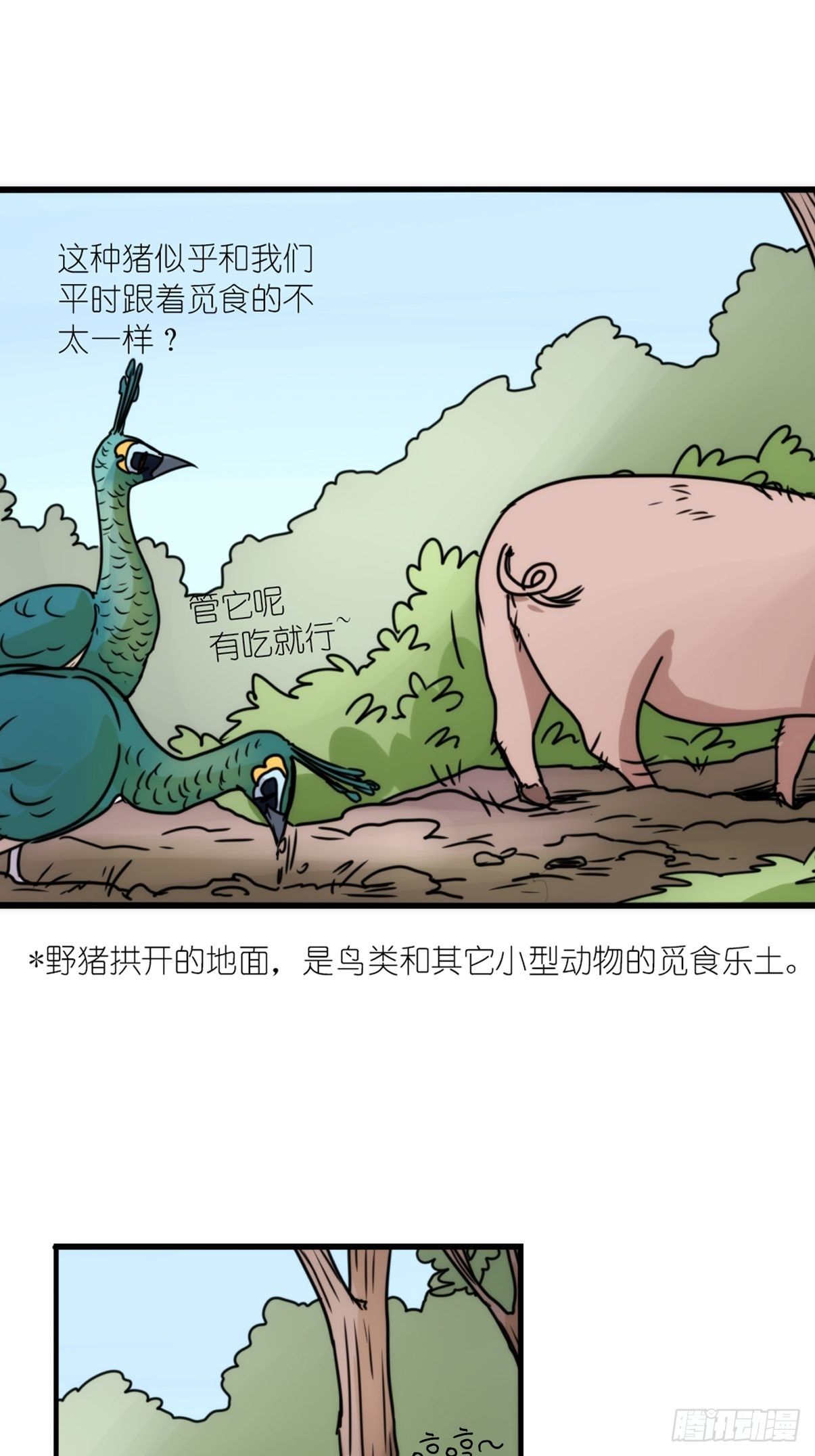 事业篇II：致绿孔雀0535