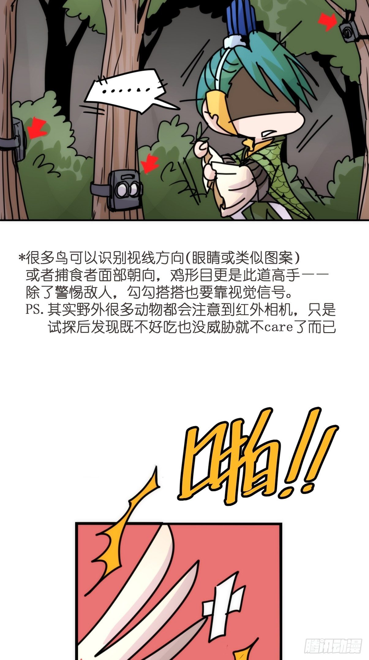 事业篇II：致绿孔雀057