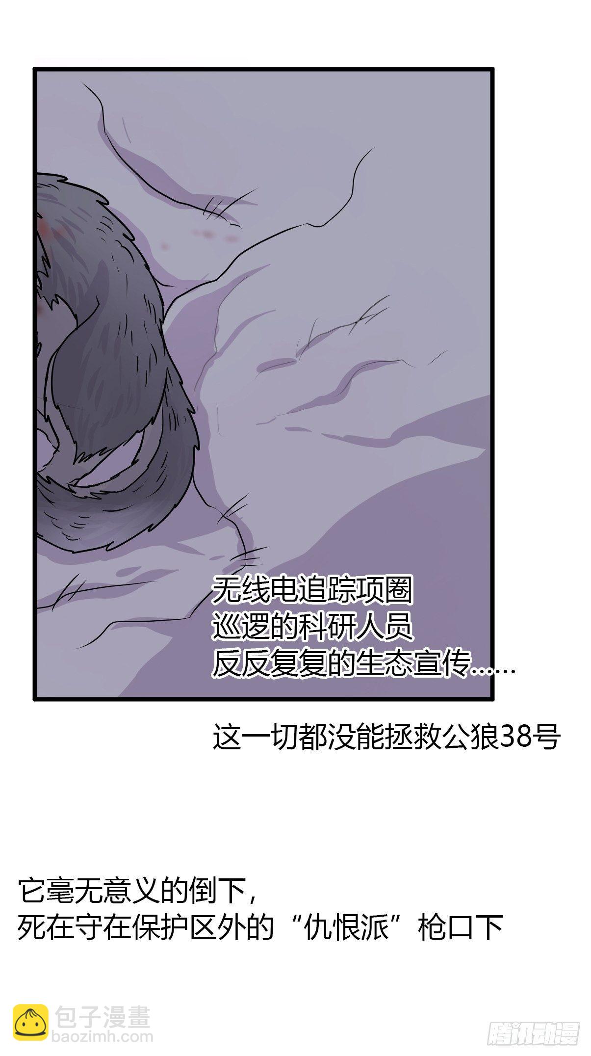 狼传奇：洗牌35