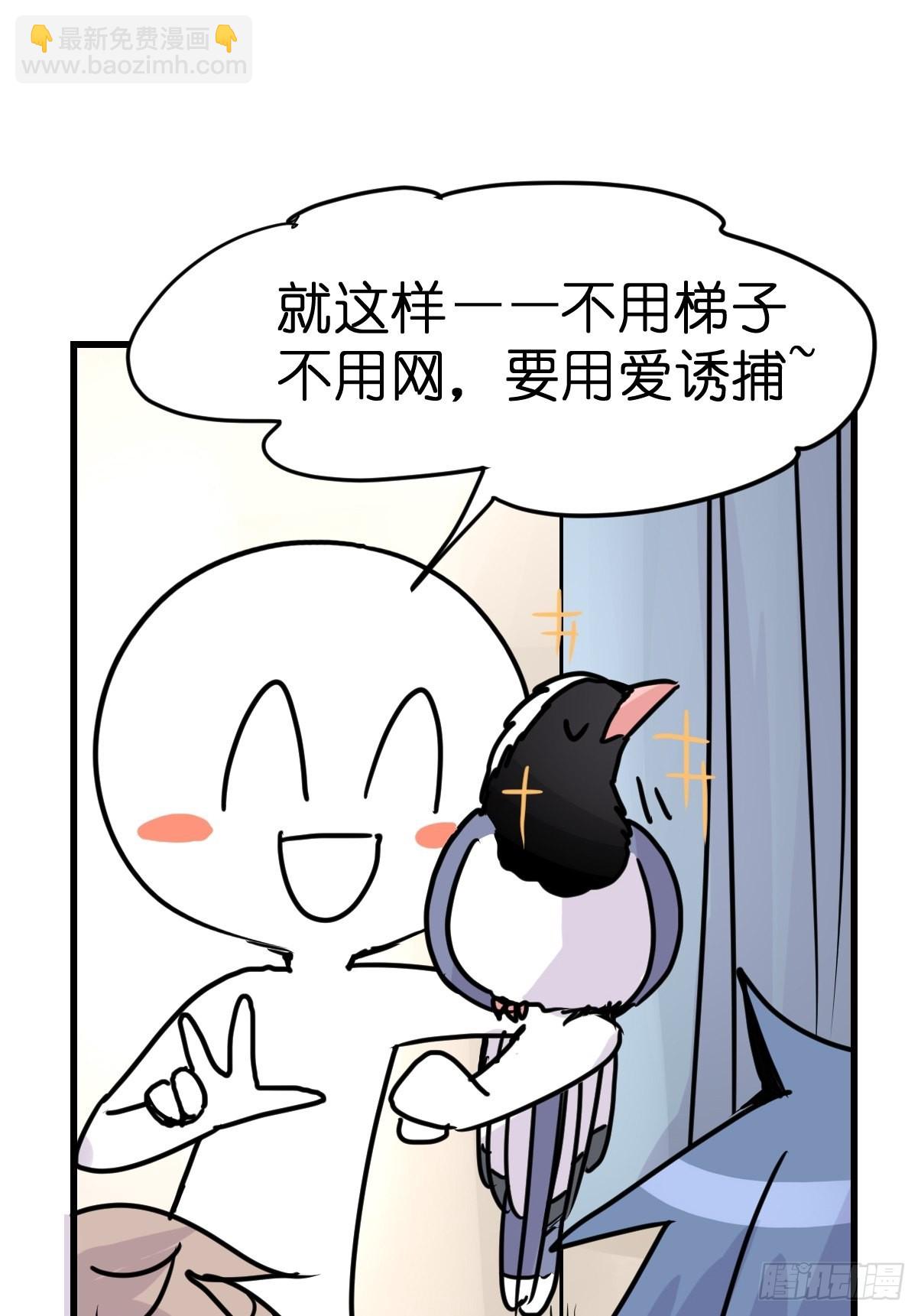 救助站21：余波未平39