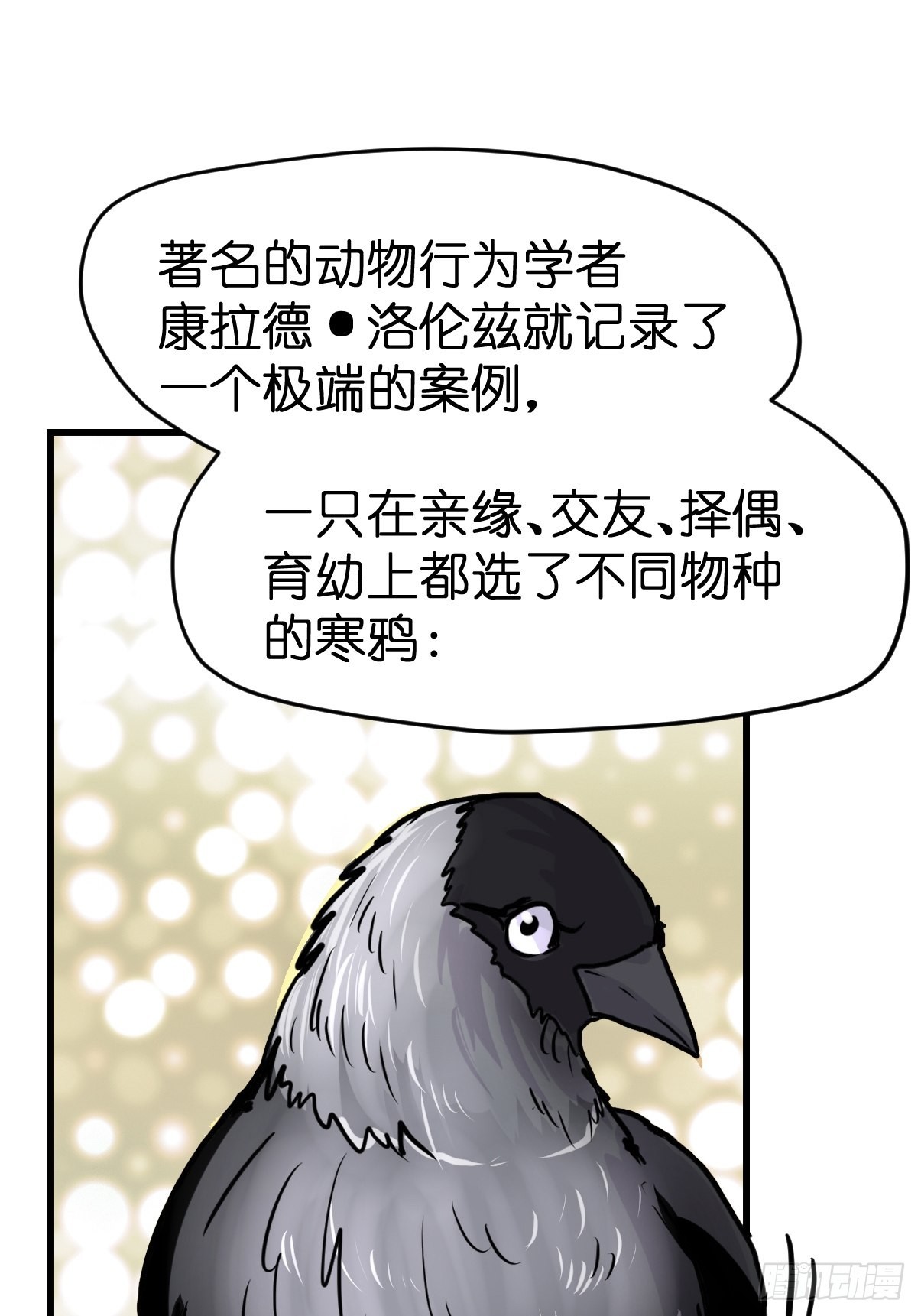 救助站21：余波未平45