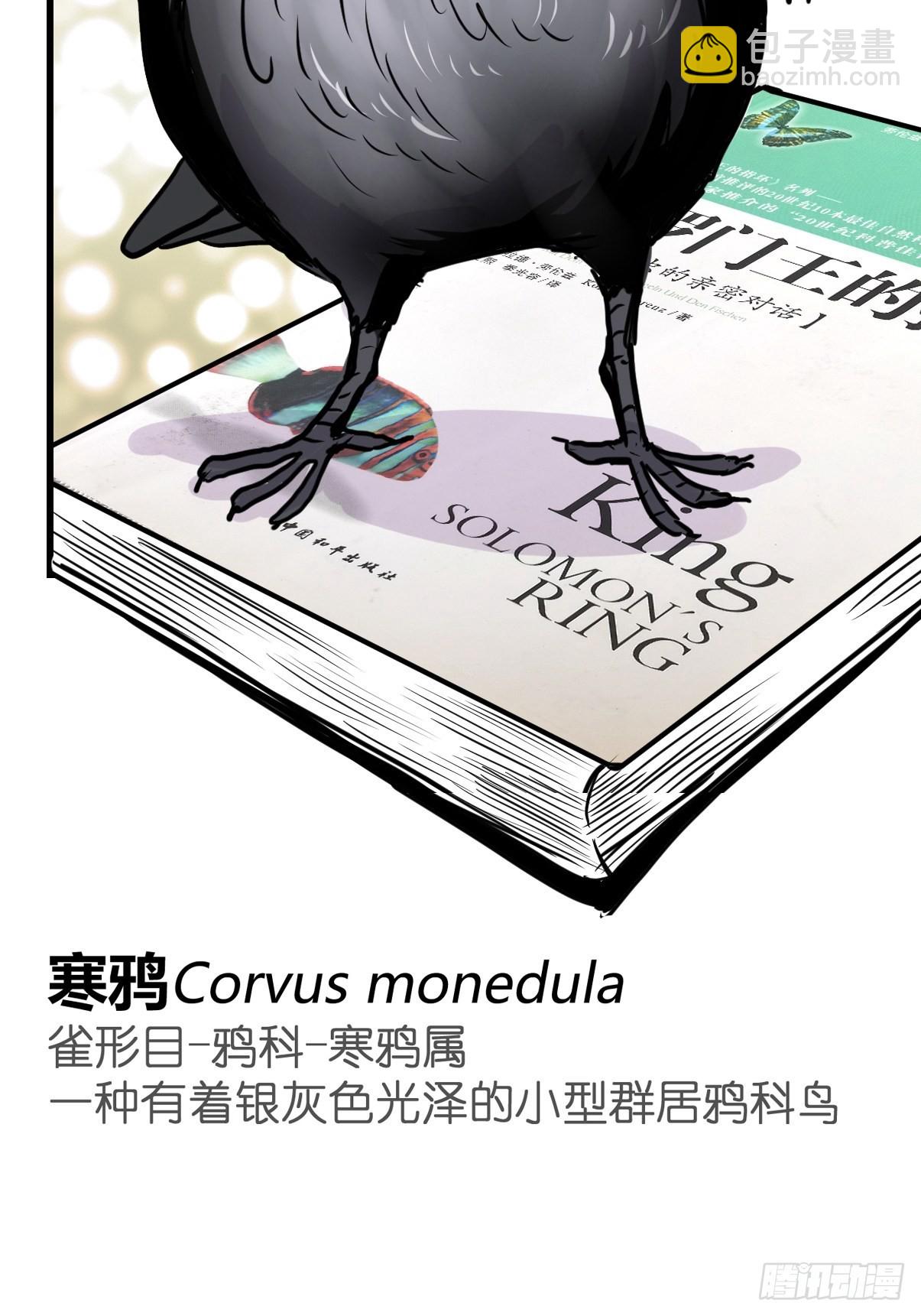 救助站21：余波未平46