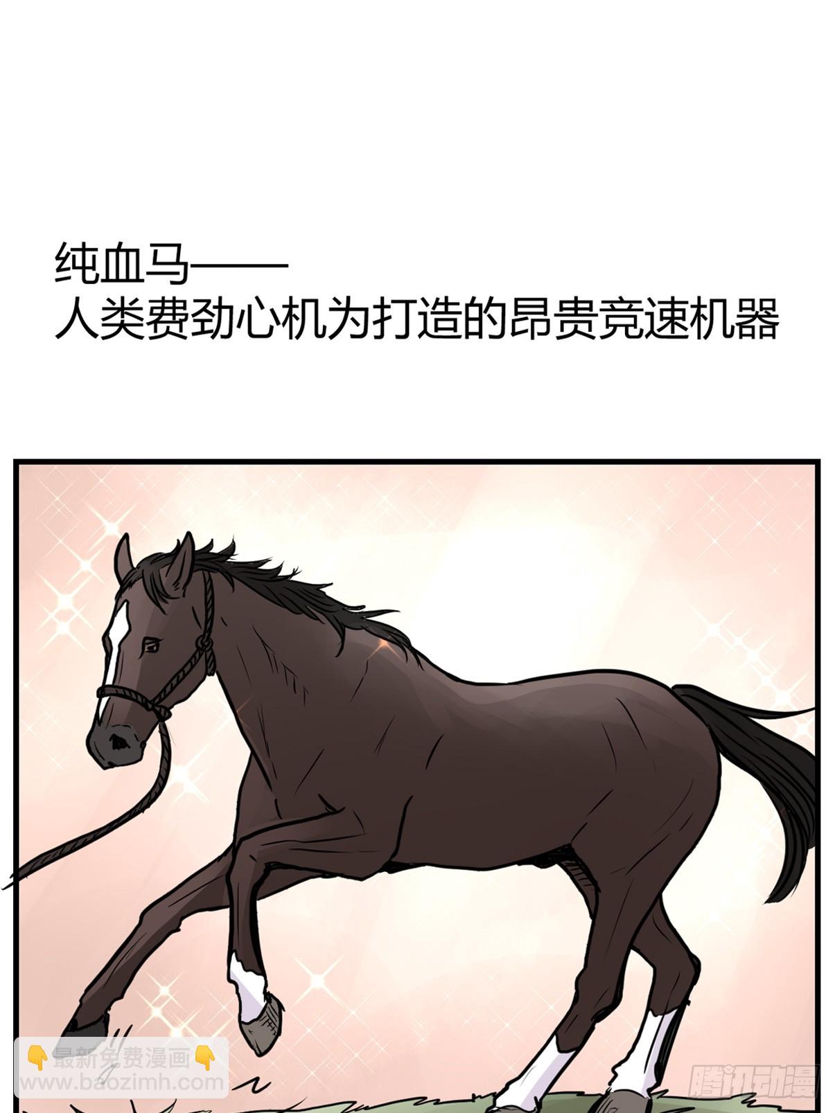 十日谈13：速度与激情·51