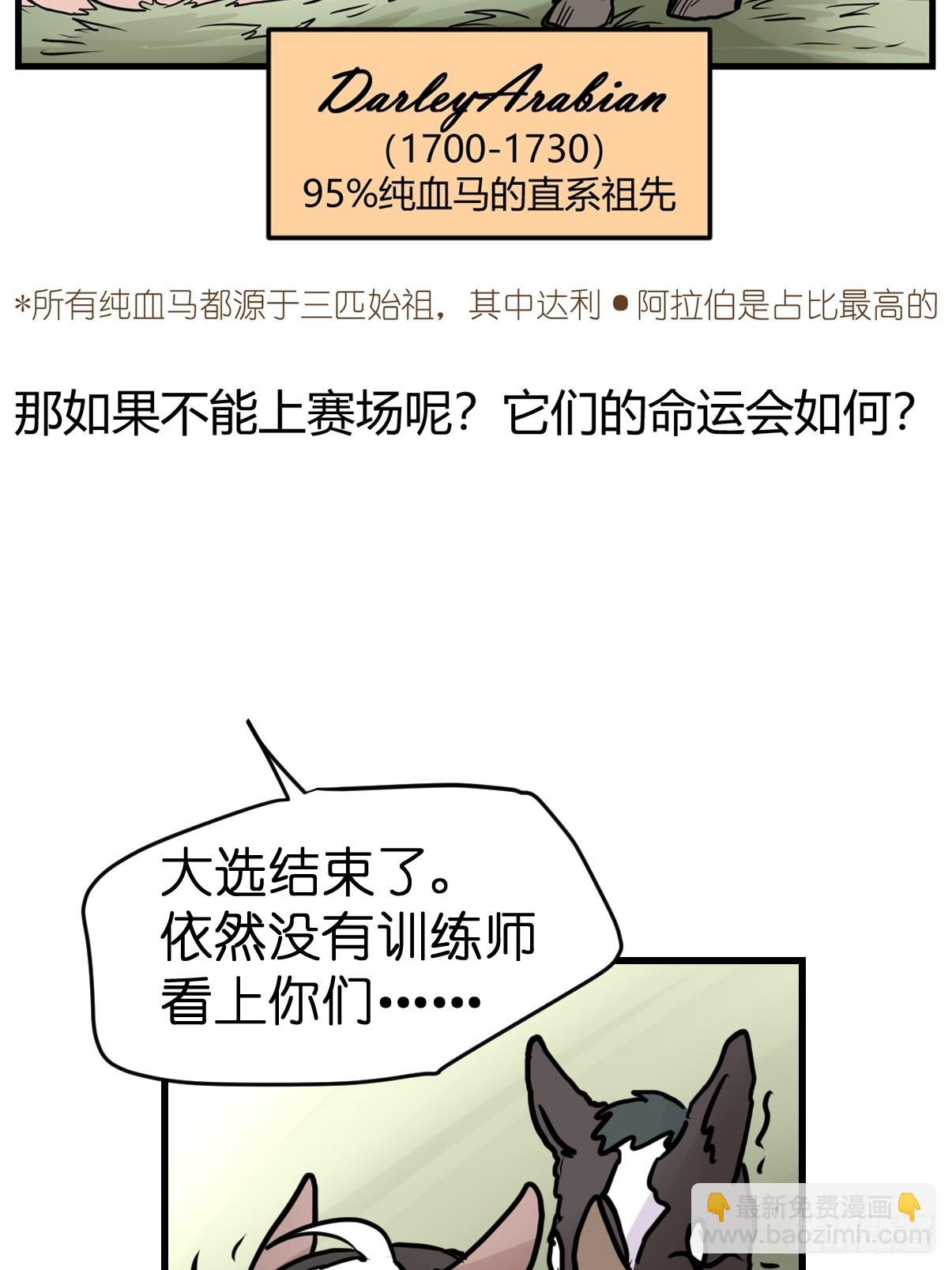 十日谈13：速度与激情·52