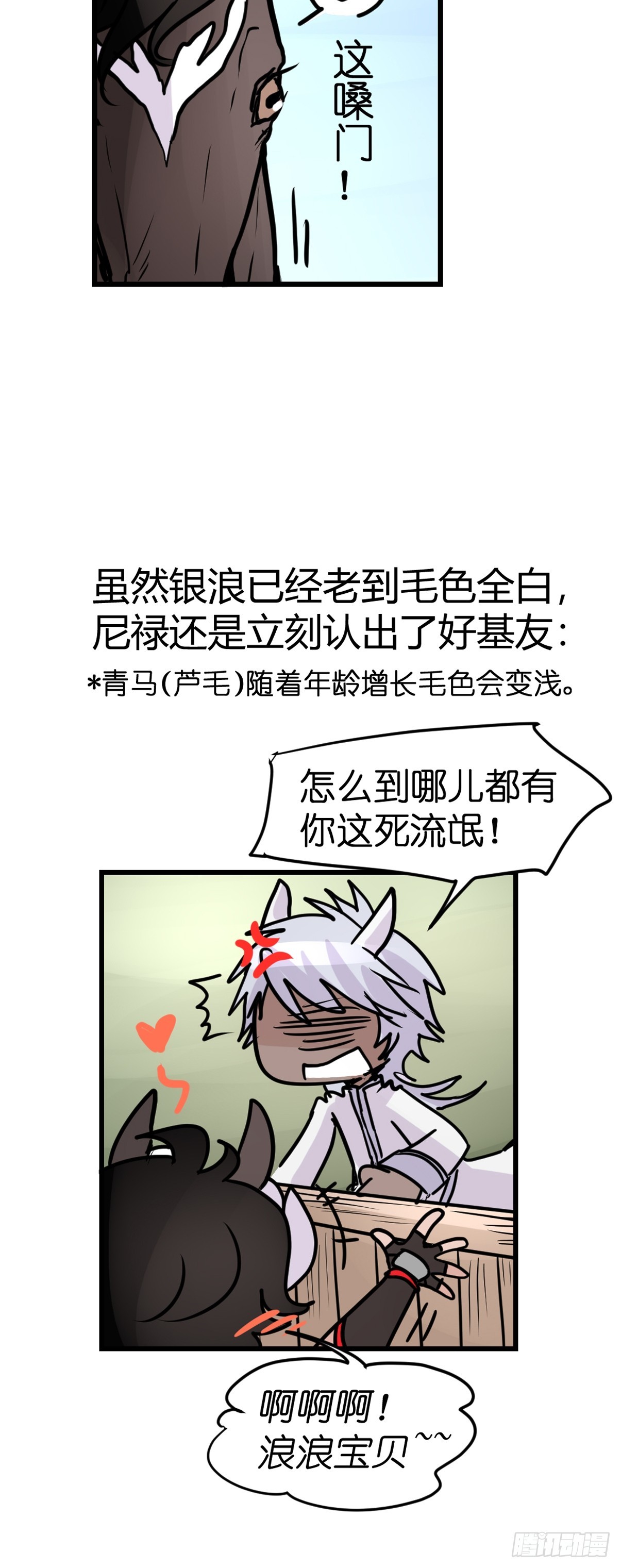 十日谈13：速度与激情·536