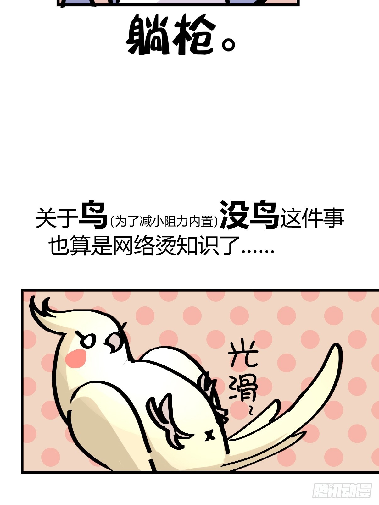 十日谈13：速度与激情·548