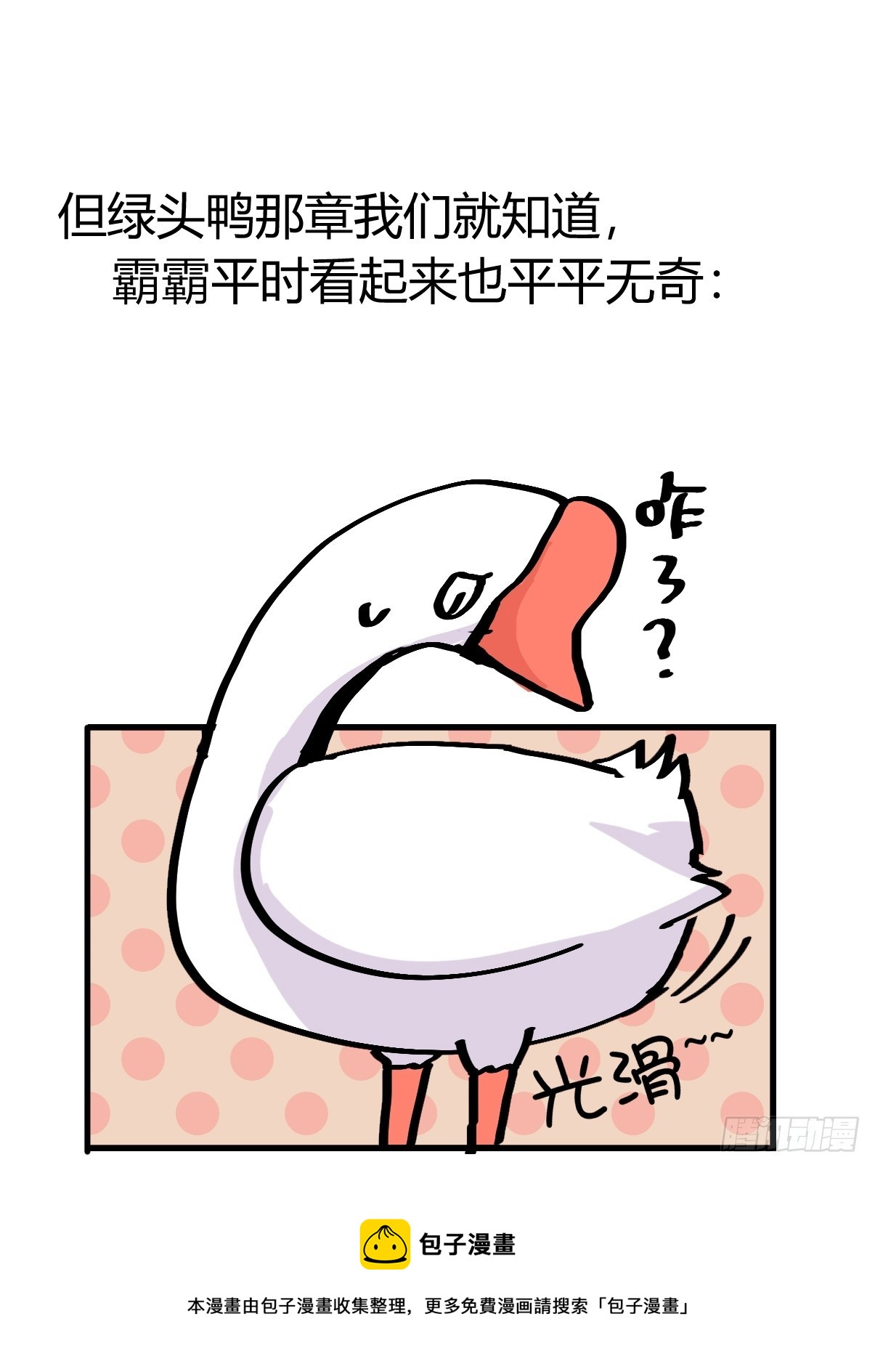 十日谈13：速度与激情·553