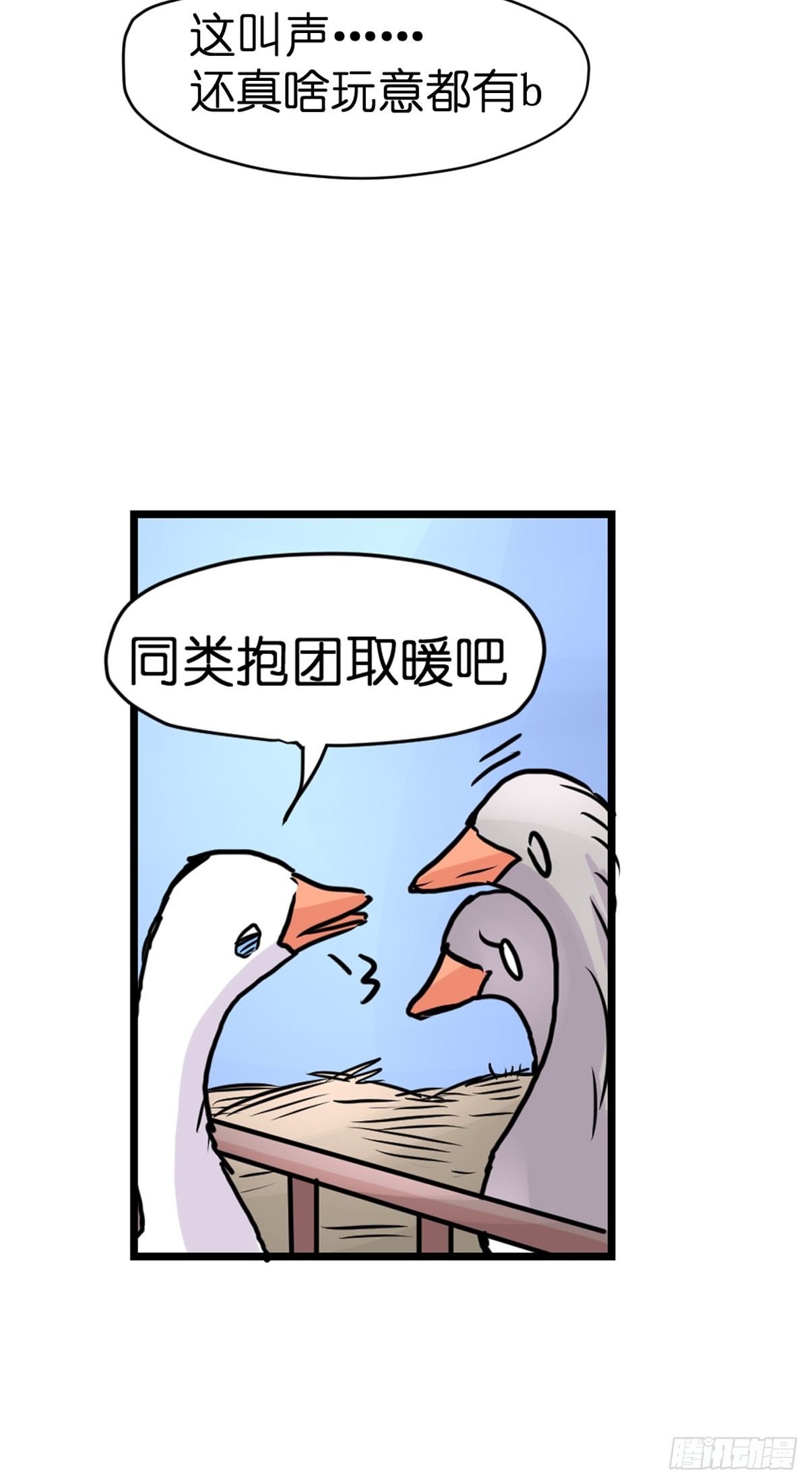 十日谈18：黑白罗曼史·519