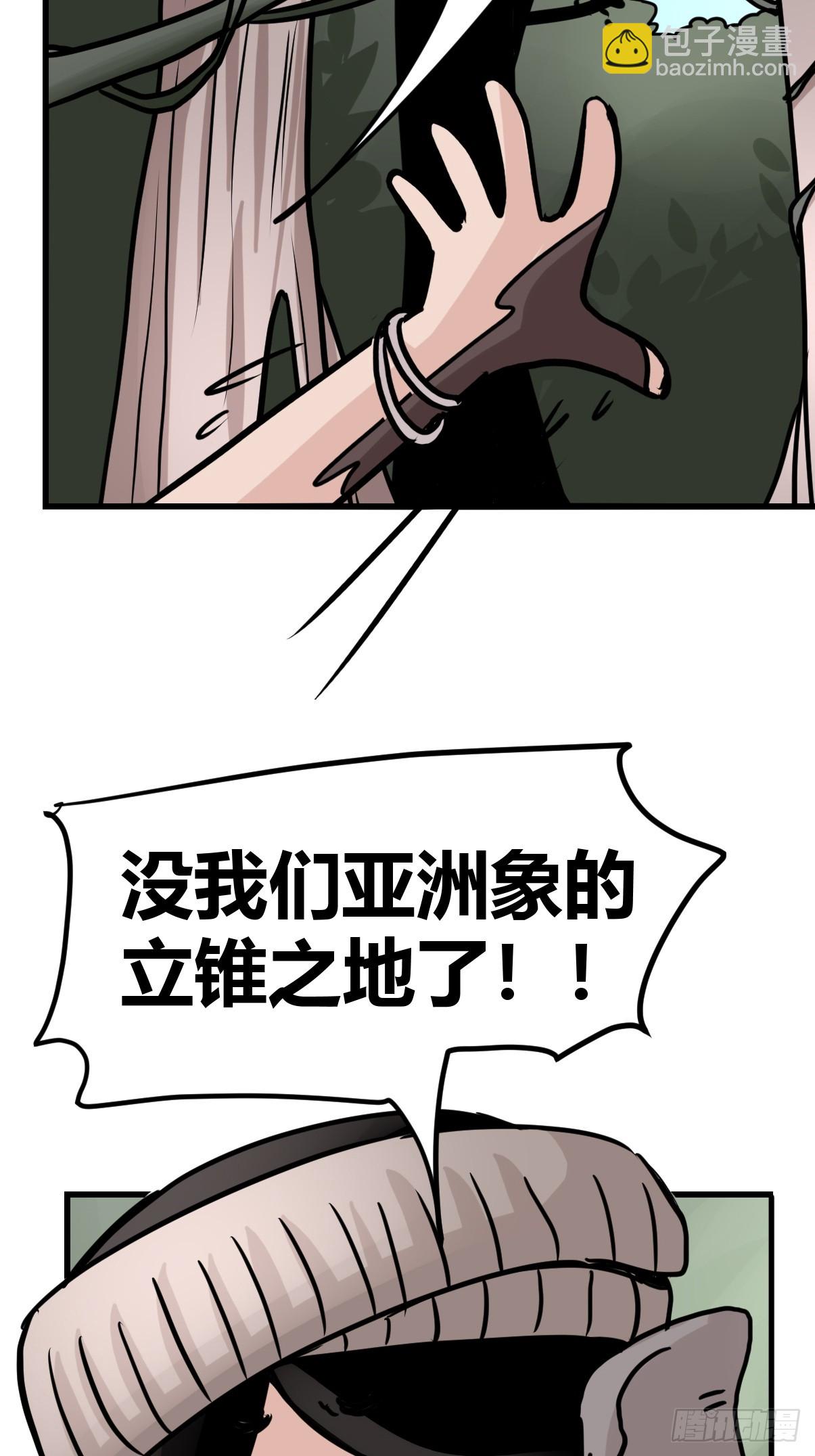 十日谈27：象往何方①11
