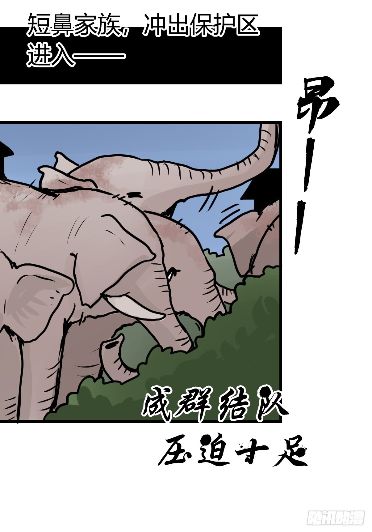 十日谈27：象往何方①29