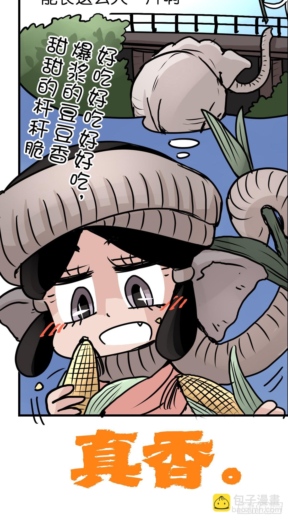 十日谈27：象往何方①37