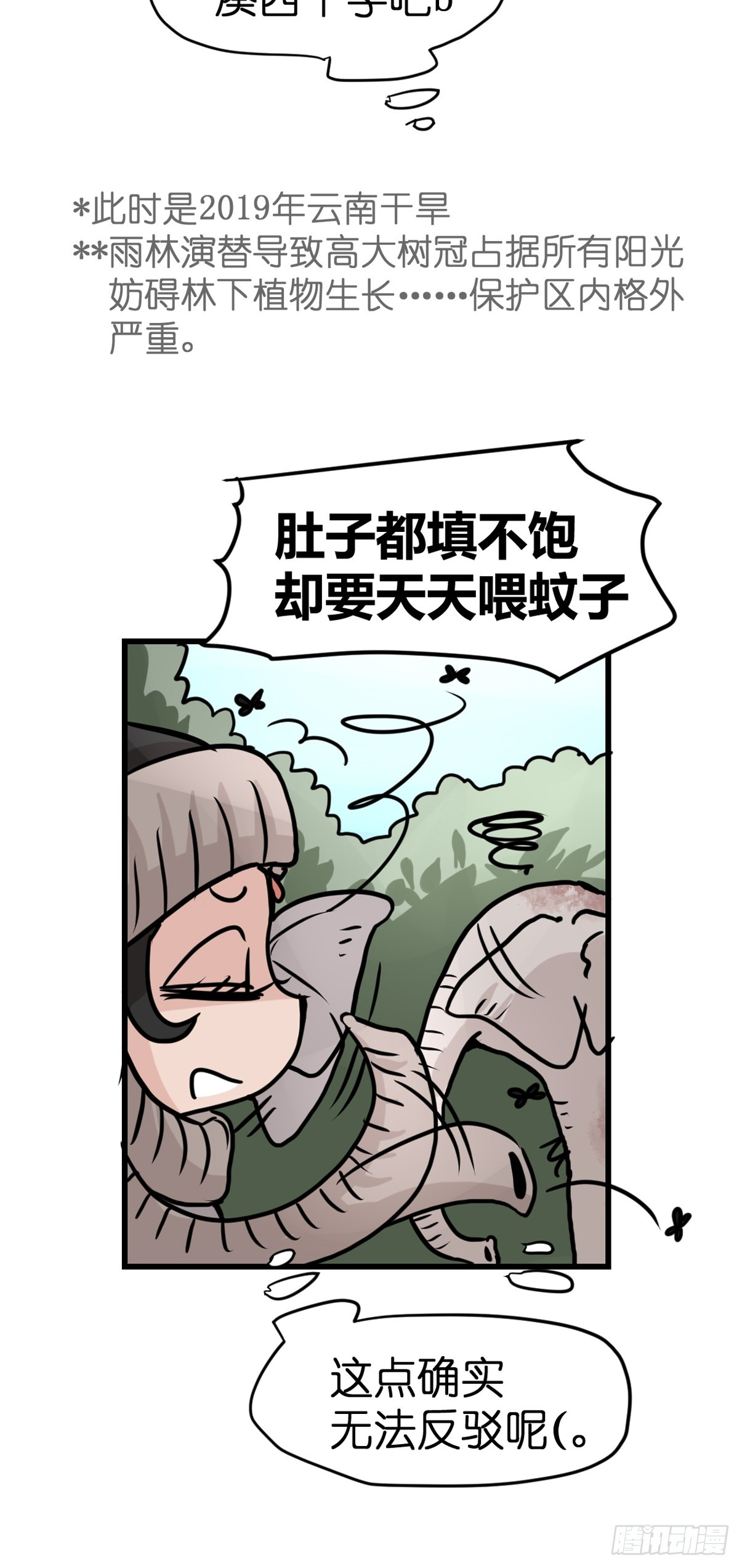 十日谈27：象往何方①8