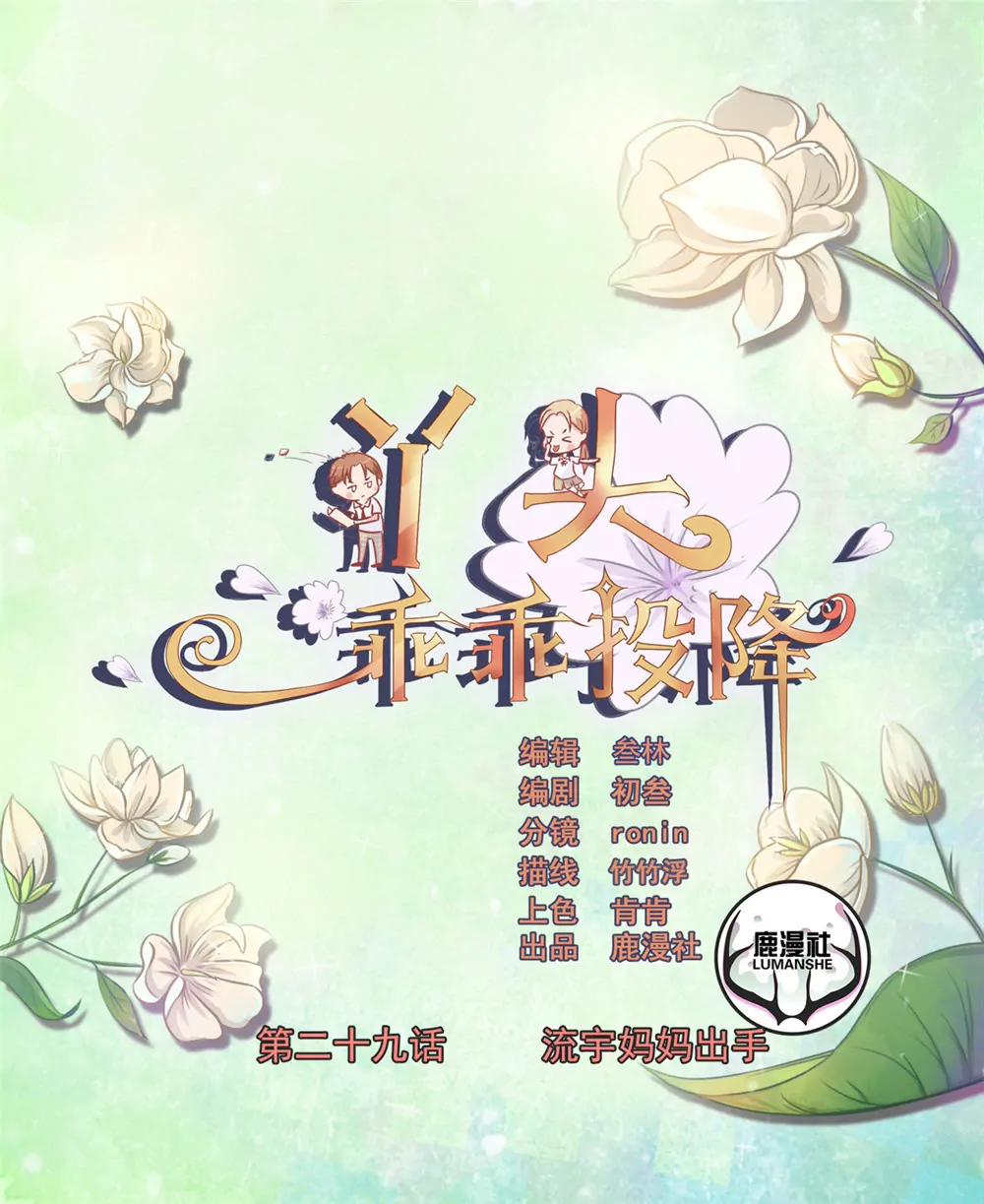 第29话 流宇妈妈出手0