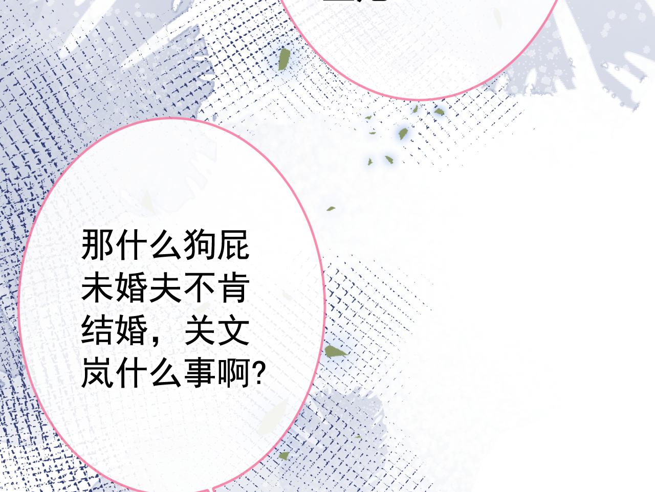 番外8-薇薇文岚篇·中47
