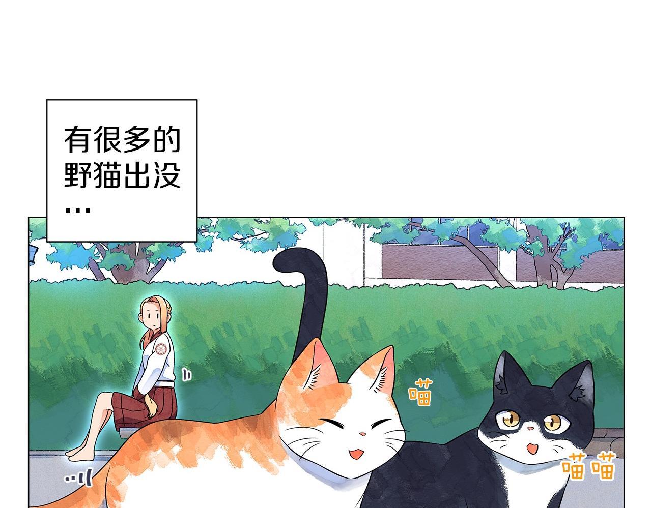第13话 她的心理战8