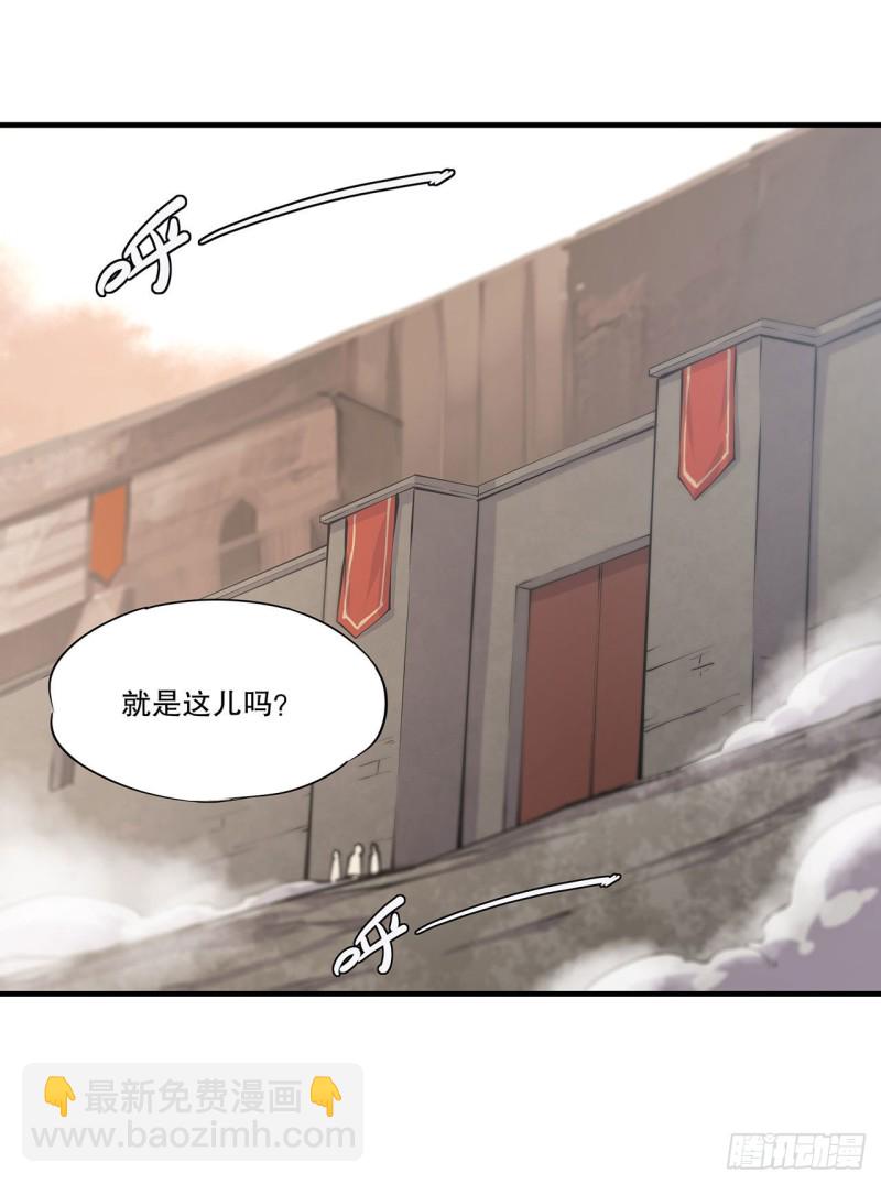 116 伪装11