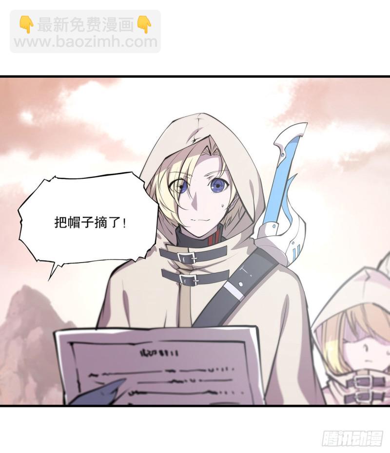116 伪装19